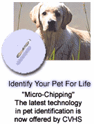 CVHS does Micro-chipping