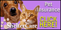 Protect your pet. ShelterCare Pet
Insurance Programs