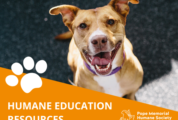 Humane Education Resources for Homeschooling Humane Education Resources for Homeschooling