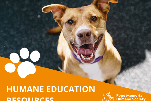 Humane Education Resources for Homeschooling